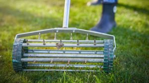 Top 10 Fall Lawn Care Tips for Florida Homeowners - 2 Top 10 Fall Lawn Care Tips for Florida Homeowners - 2