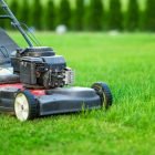 Top 10 Fall Lawn Care Tips for Florida Homeowners lawn care