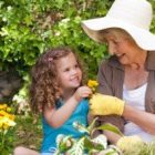 Florida Spring Gardening 101 FL garden