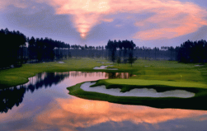 Amelia National Tom Fazio Golf Course