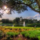 Must-Do Experiences in Lake Nona lake-nona-live-oak-estates