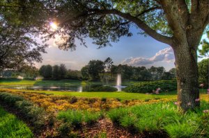 Must-Do Experiences in Lake Nona - Lake Nona Live Oak Estates lake-nona-live-oak-estates