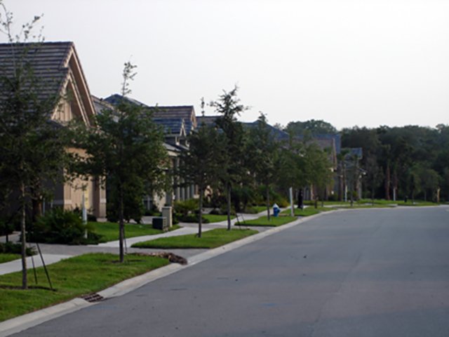 Guide to Choosing the Perfect Florida Community - Lakeside Streetscape