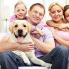 Home Design For Our Furry Friends Happy family