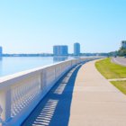 A Slice of Tampa Life: Bayshore Boulevard Bayshore Boulevard