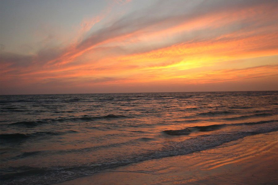 Island Parks Near Tampa