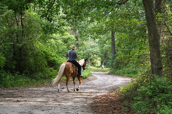 Four Unique Recreational Activities in ‘JAX’ - horseback 600