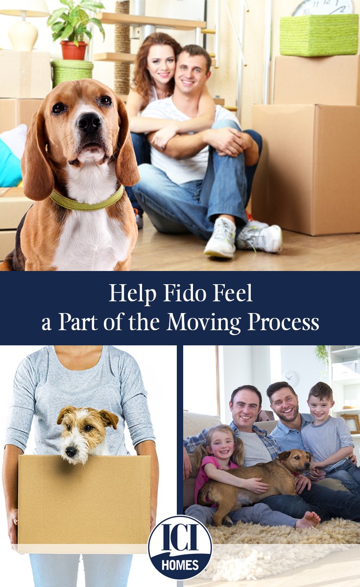 Help Fido Feel a Part of the Moving Process - Help Fido Feel a Part of the Moving Process moving with dog