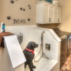 How to Create a Home with Fido in Mind dog-friendly-home