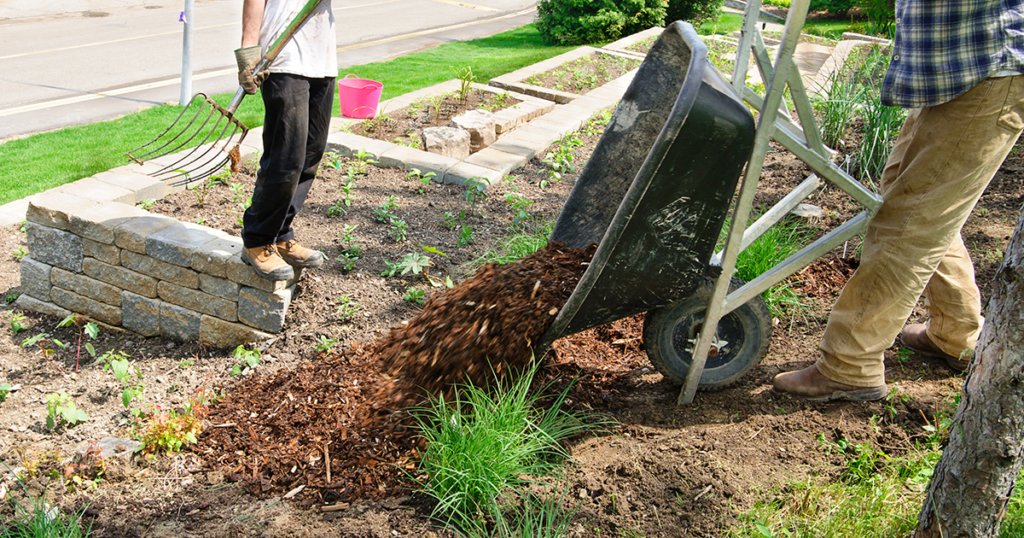 Freshen Up Your Cool-Weather Landscape - gardening