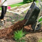 Freshen Up Your Cool-Weather Landscape Wheelbarrow full of Mulch