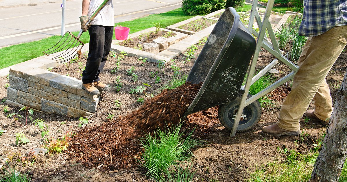 Freshen Up Your Cool-Weather Landscape - gardening