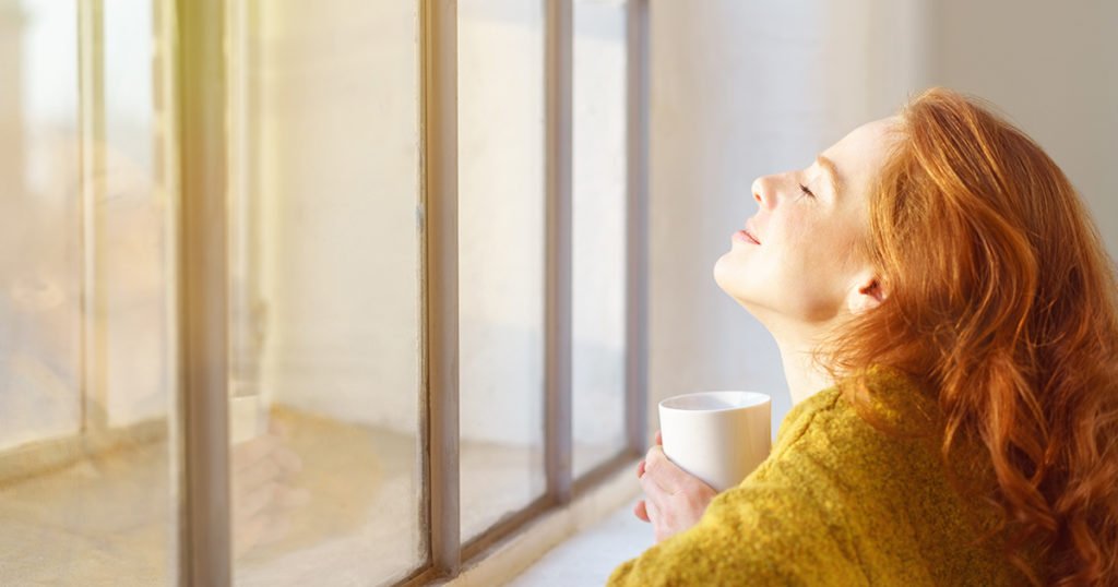 How to Enjoy Your Florida Landscape in Winter