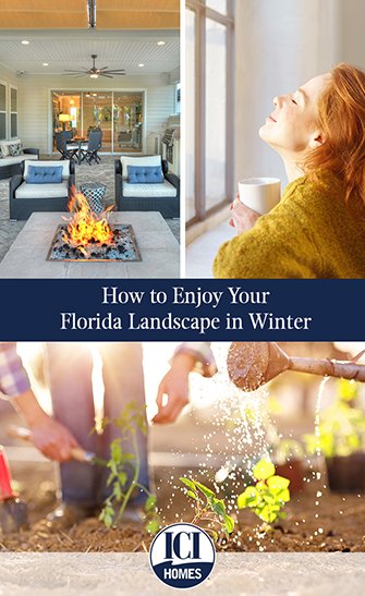 How to Enjoy Your Florida Landscape in Winter - sm How to Enjoy Your Florida Landscape in Winter How to Enjoy Your Florida Landscape in Winter