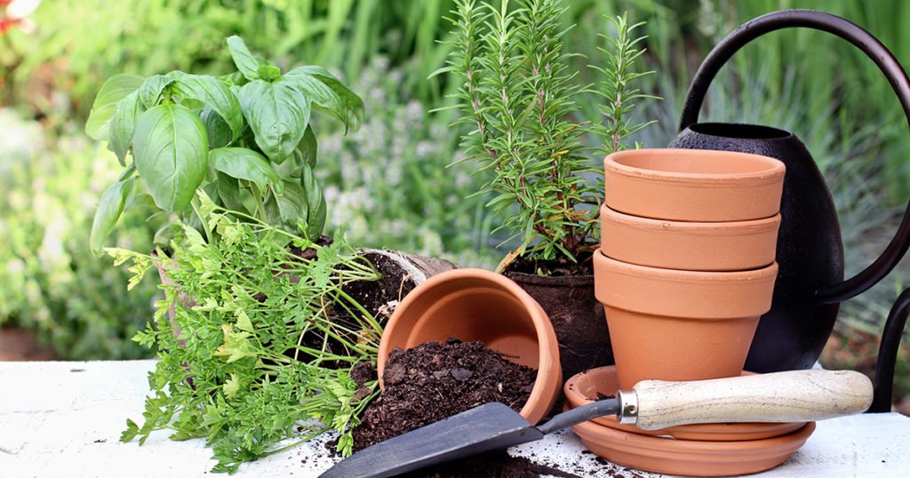 A container garden allows you to enjoy blooming flowers and vegetables from sturdy garden pots rather than landscaped backyard beds.