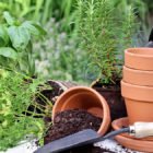 Container Gardening: The Most Fun You’ll Have Playing in the Dirt A container garden allows you to enjoy blooming flowers and vegetables from sturdy garden pots rather than landscaped backyard beds.