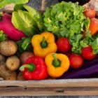 It’s Growing Season: Tips for a Backyard Garden Fresh vegetable holding by young adult, harvested from home gard