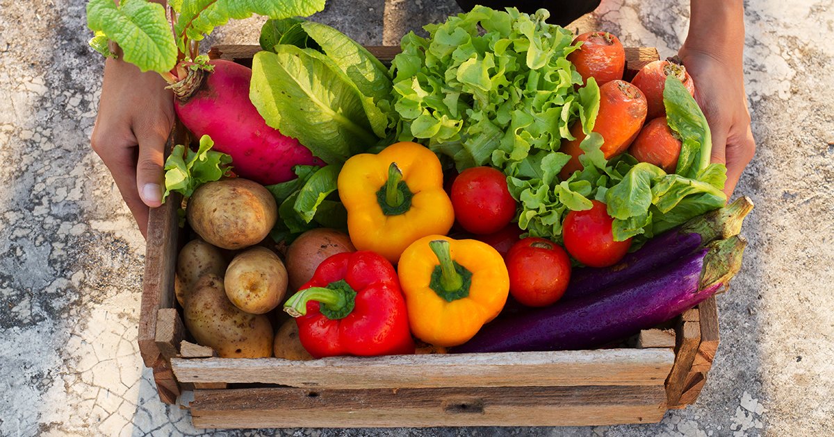 It’s Growing Season: Tips for a Backyard Garden - AdobeStock 184706231