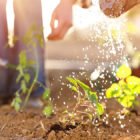 Get Growing: Tips for Water-Wise Gardening Get Growing: Tips for Water-Wise Gardening