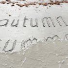 Fall in Florida: Tips for Enjoying the Season Fall in Florida