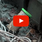 Homeowner Maintenance Made Easy: Sprinkler Filter sprinkler filter