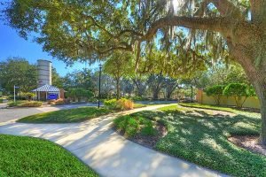 Community Spotlight: Exploring Tidewater - ICI Tidewater 431 2 3 4 5 6 7 Enhancer Tidewater