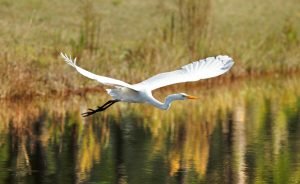 Community Spotlight: Exploring Seven Pines - scenic seven pines 3433 large