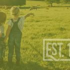 Persimmon Park: Future Planning for Legacy Wiregrass Ranch History of Wiregrass Ranch