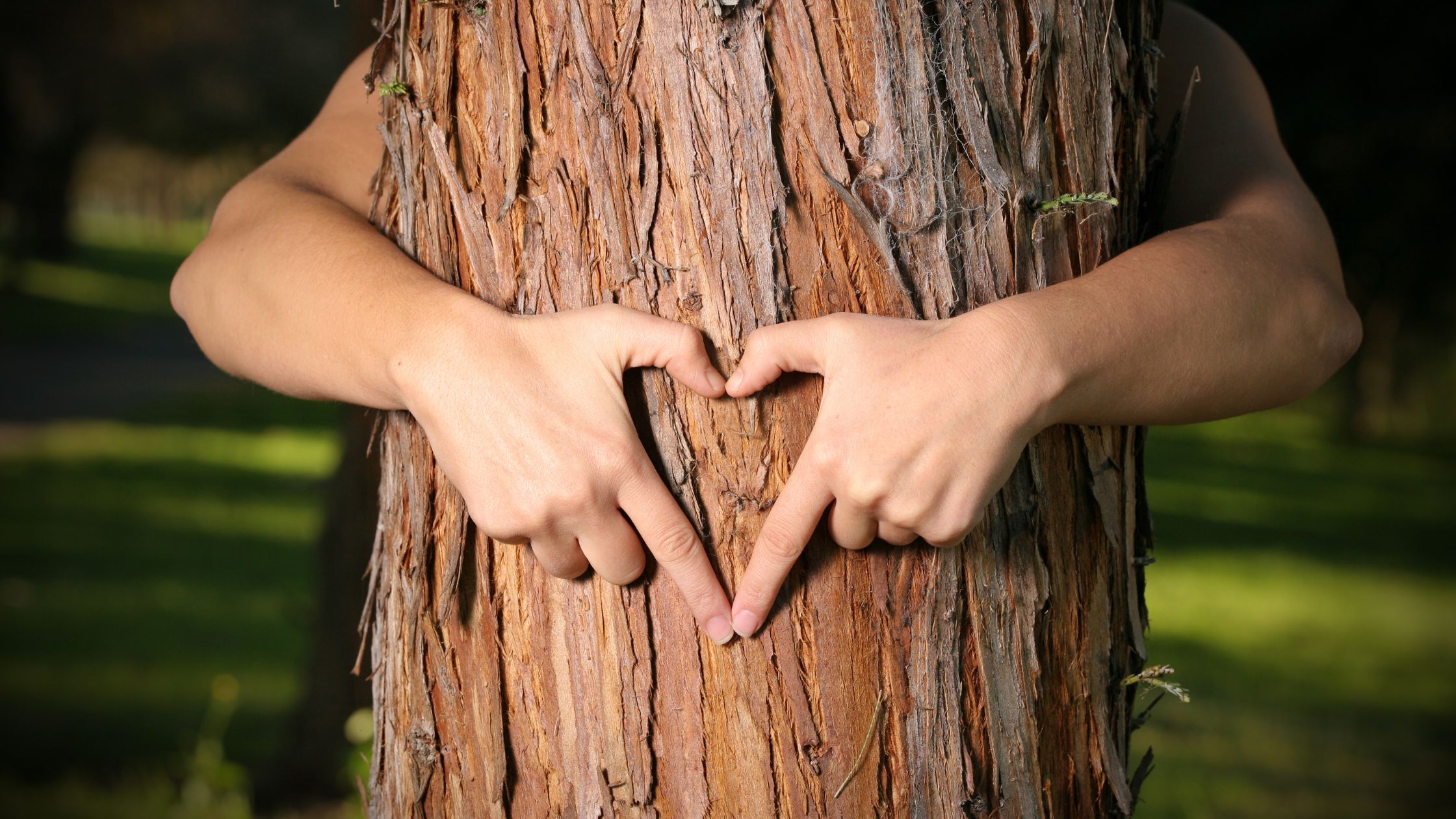 What Kind of Communities Are Good for Nature Lovers? - 1