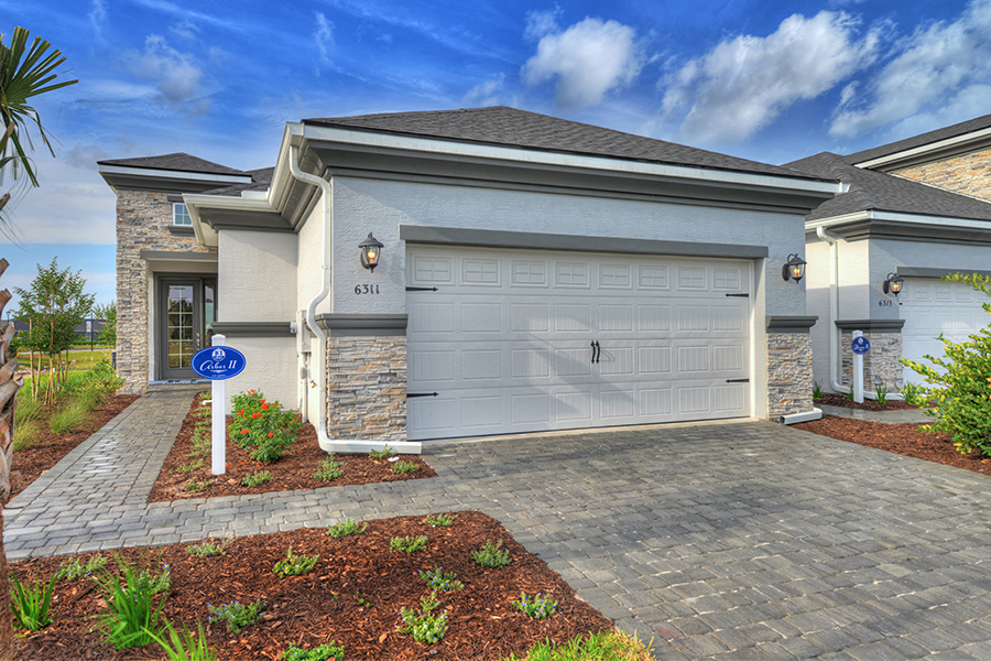 The Arbor II - Grand Award Winner